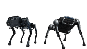 Indigenous Robotics: Bridging Tradition and Technology for STEM Empowerment